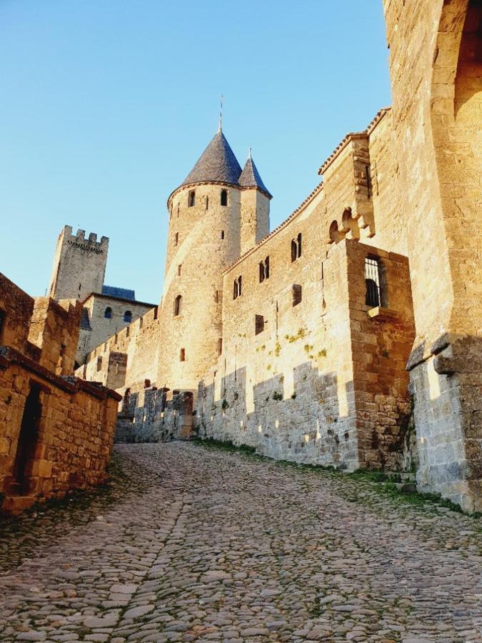 Maison Avec Jardin Au Pied De La Cite Medievale การ์กาซอน ภายนอก รูปภาพ