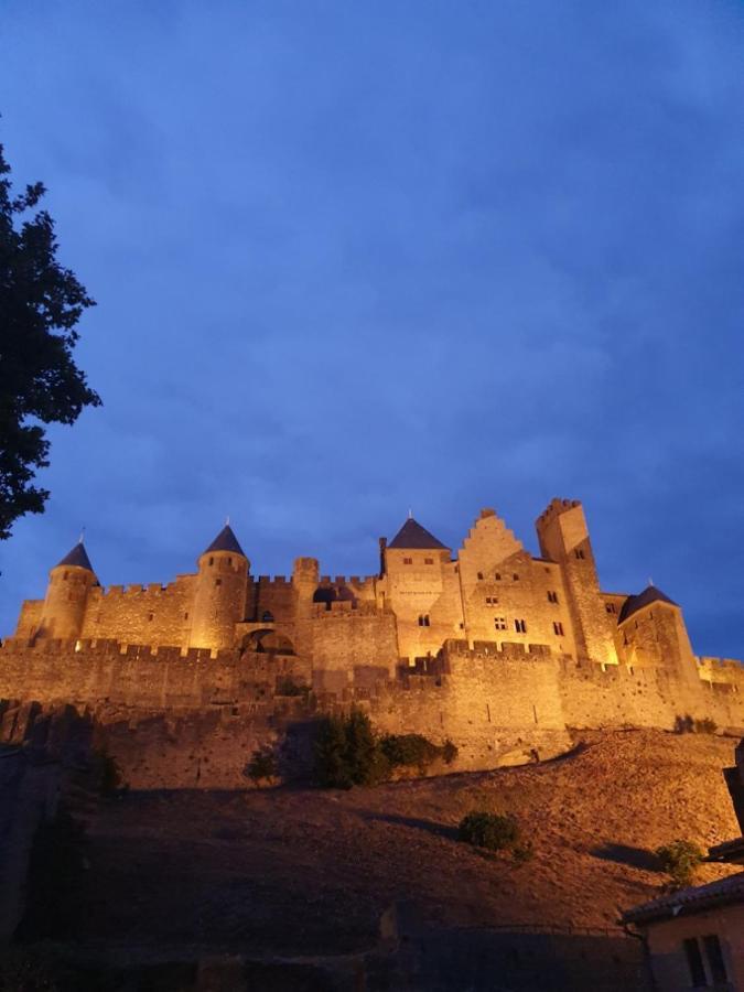 Maison Avec Jardin Au Pied De La Cite Medievale การ์กาซอน ภายนอก รูปภาพ